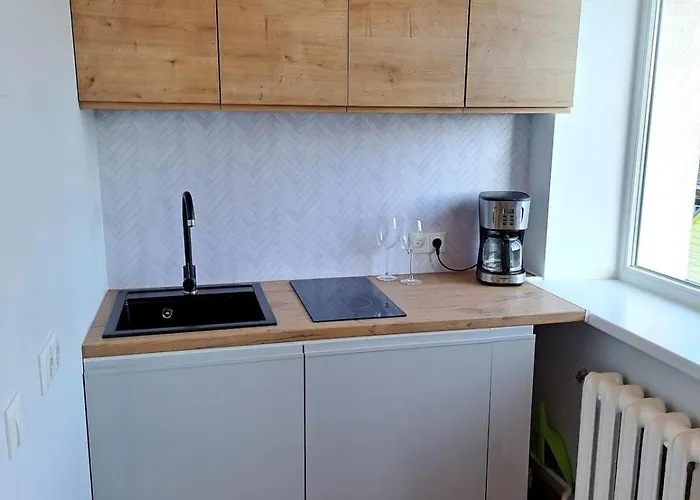 In Vana-paernu Apartment *